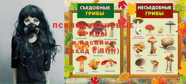 СК Алексеевка